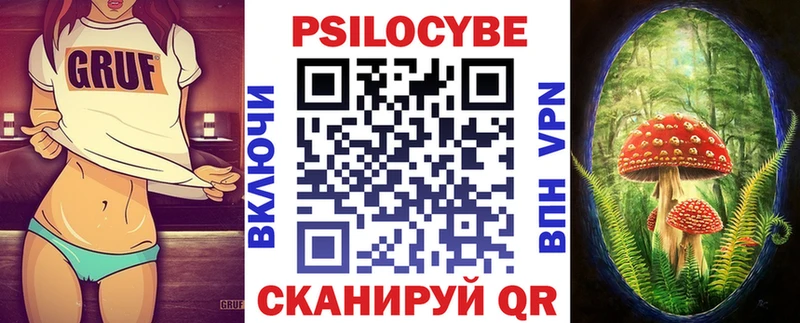 как найти закладки  Володарск  Галлюциногенные грибы Cubensis 